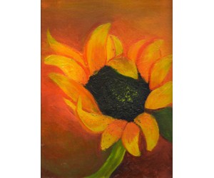 September Sunflower